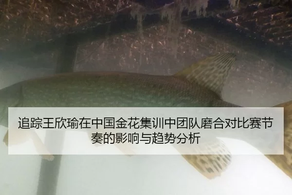 zhui-zong-wang-xin-yu-zai-zhong-guo-jin-hua-ji-xun-zhong-tuan-dui-mo-he-dui-bi-sai-jie-zou-de-ying-xiang-yu-qu-shi-fen-2-558.jpg